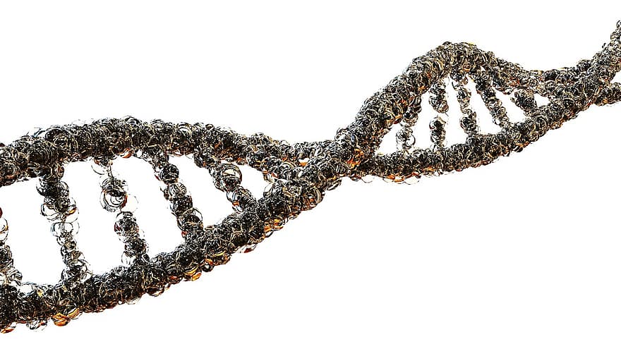 gout-biology-dna-strand-science-genetics-acid-deoksyrybonukleinowy-molecular-biology-life-genes