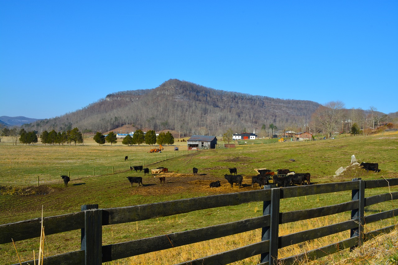 kentucky-2875388_1280