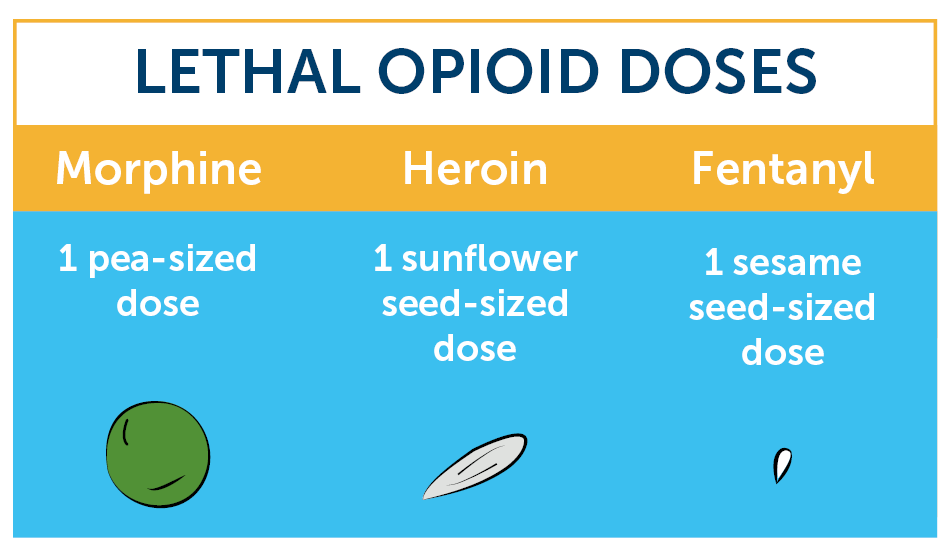 What makes fentanyl so deadly and how can people prevent overdoses?