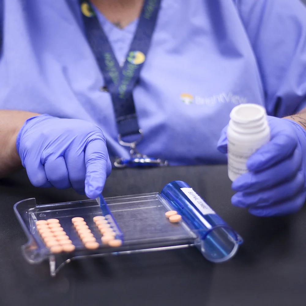 Healthcare worker wearing gloves counts medication tablets on a dispensing tray.