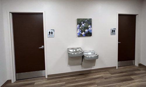 Bathroom area